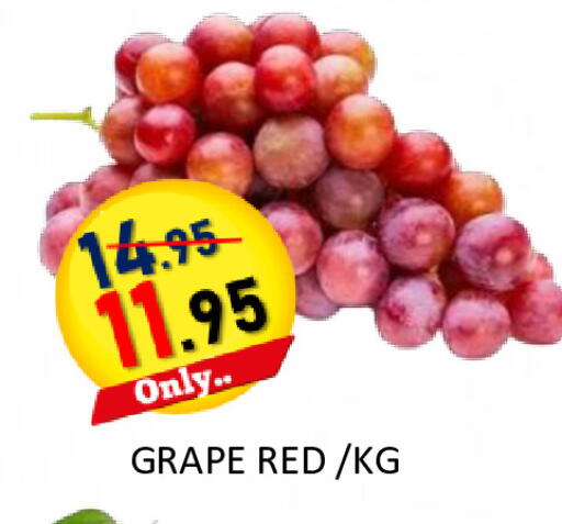 available at ROYAL GULF HYPERMARKET LLC in UAE - Abu Dhabi