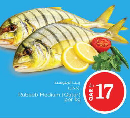 available at Nesto in Qatar - Al-Shahaniya