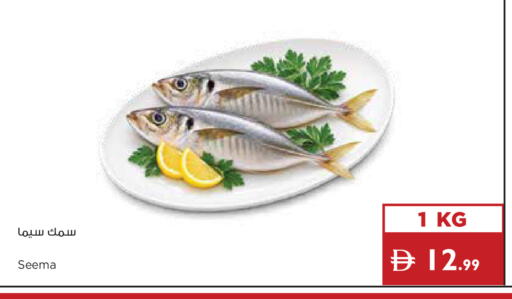 available at إسطنبول سوبرماركت in الإمارات العربية المتحدة , الامارات - أبو ظبي