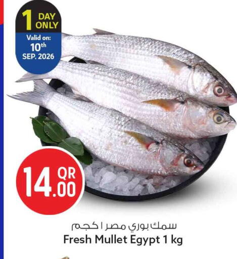 available at سفاري هايبر ماركت in قطر - الدوحة
