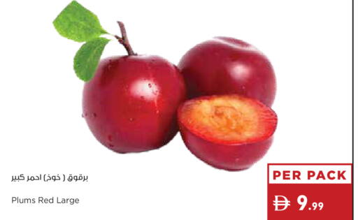 Plums available at Istanbul Supermarket in UAE - Dubai