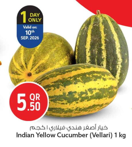 Cucumber from India available at سفاري هايبر ماركت in قطر - الشمال