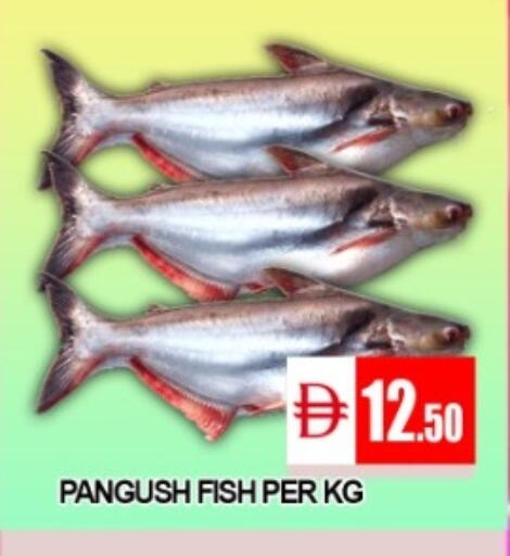 available at متجر الهدايا الخضراء in الإمارات العربية المتحدة , الامارات - أبو ظبي