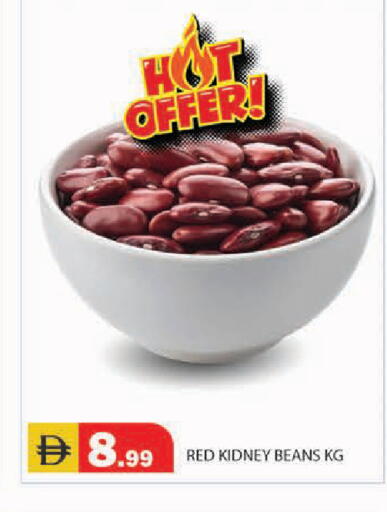 available at سنابل بني ياس in الإمارات العربية المتحدة , الامارات - أبو ظبي