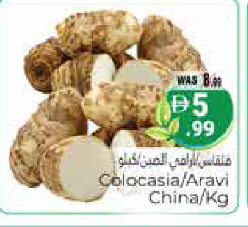 from China available at هايبر ماركت باسونز in الإمارات العربية المتحدة , الامارات - ٱلْعَيْن‎