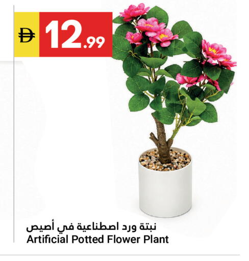 available at جراند الإمارات للتسوق in الإمارات العربية المتحدة , الامارات - أبو ظبي