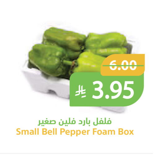 Bell Pepper available at Qateba Markets in KSA, Saudi Arabia, Saudi - Buraidah