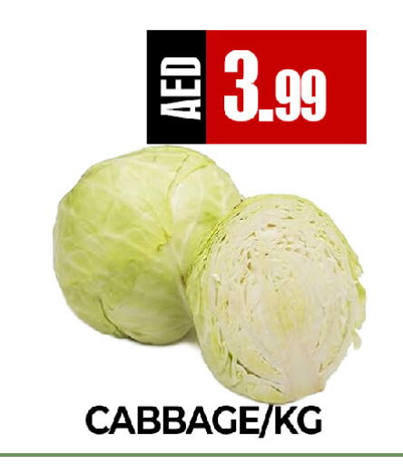 Cabbage available at  RIVIERA SUPERMARKET L.L.C in UAE - Abu Dhabi