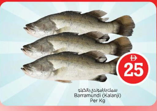 available at نستو هايبرماركت in الإمارات العربية المتحدة , الامارات - أبو ظبي