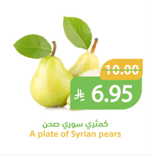 from Syria available at Qateba Markets in KSA, Saudi Arabia, Saudi - Buraidah