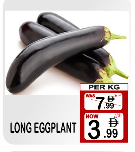 Eggplant available at جفت بوينت in الإمارات العربية المتحدة , الامارات - دبي