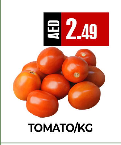 Tomato available at  RIVIERA SUPERMARKET L.L.C in UAE - Abu Dhabi