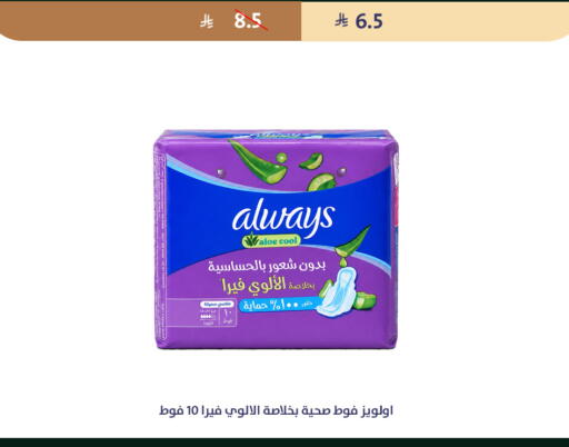available at متاجر قوت in مملكة العربية السعودية, السعودية, سعودية - الطائف