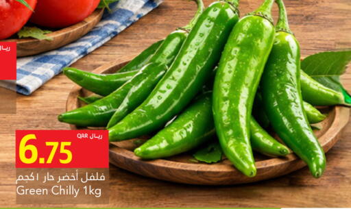 available at جلف فود سنتر in قطر - الشحانية