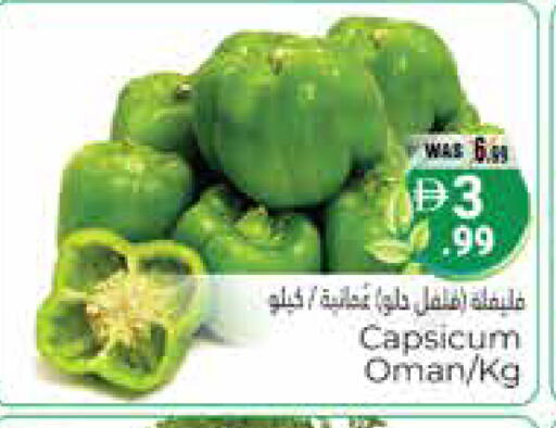 Capsicum from Oman available at هايبر ماركت باسونز in الإمارات العربية المتحدة , الامارات - ٱلْعَيْن‎