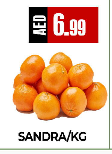 available at  RIVIERA SUPERMARKET L.L.C in UAE - Abu Dhabi