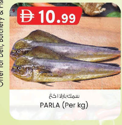 available at صفا اكسبريس سوبرماركت in الإمارات العربية المتحدة , الامارات - أبو ظبي