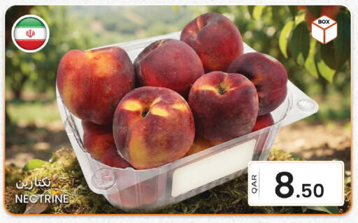 available at البلدي اليوم in قطر - الريان