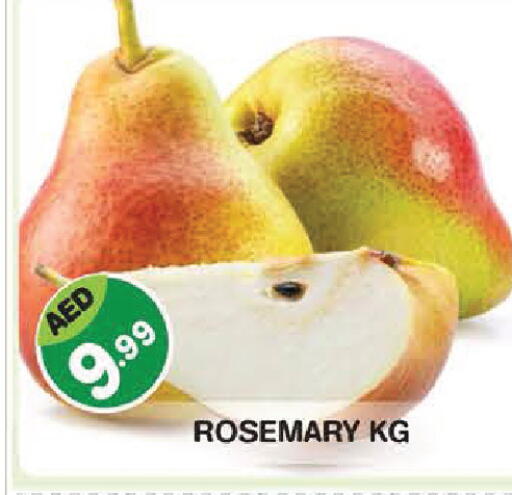 Rosemary available at سنابل بني ياس in الإمارات العربية المتحدة , الامارات - أبو ظبي