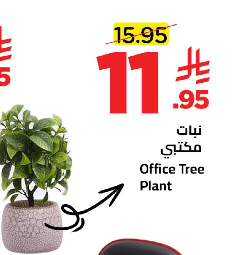 available at Wahj Mart in KSA, Saudi Arabia, Saudi - Jeddah