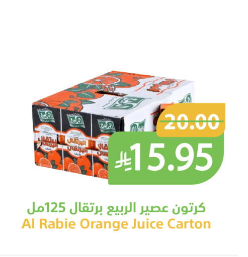 Orange available at Qateba Markets in KSA, Saudi Arabia, Saudi - Buraidah