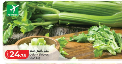 Celery available at LuLu Hypermarket in Qatar - Al Shamal