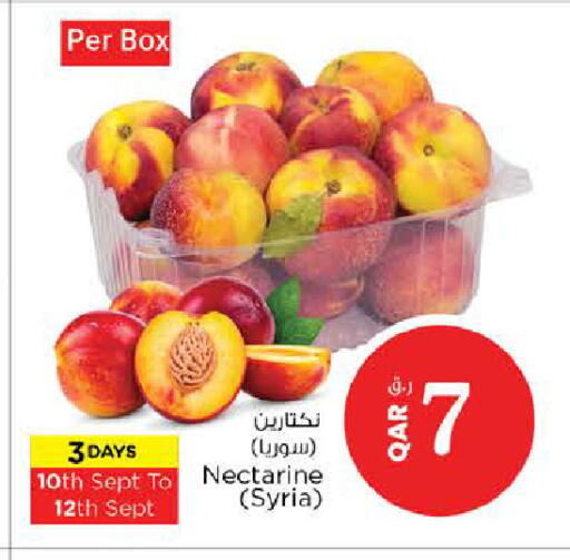 Nectarine from Syria available at Nesto in Qatar - Al Shamal