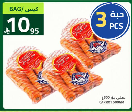 Carrot available at Astra Markets in KSA, Saudi Arabia, Saudi - Tabuk