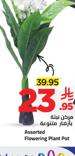 available at Wahj Mart in KSA, Saudi Arabia, Saudi - Jeddah