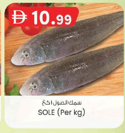 available at ك. الم. للتجارة in الإمارات العربية المتحدة , الامارات - أبو ظبي