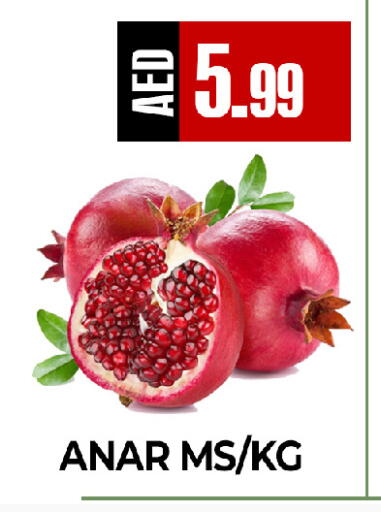 available at  RIVIERA SUPERMARKET L.L.C in UAE - Abu Dhabi