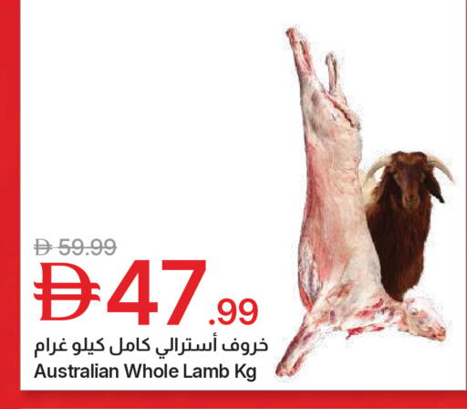 available at جمعية الامارات التعاونية in الإمارات العربية المتحدة , الامارات - دبي