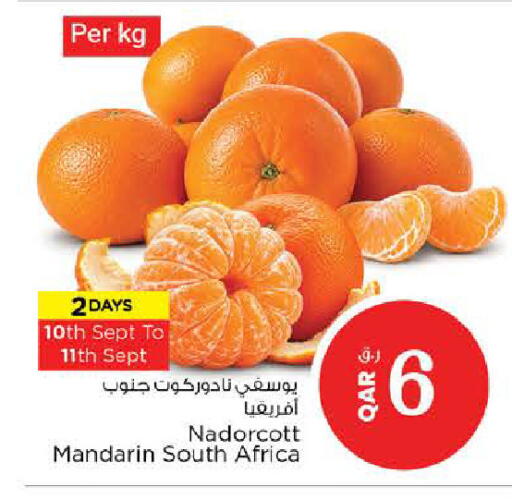 Mandarin from South Africa available at Nesto in Qatar - Al Shamal
