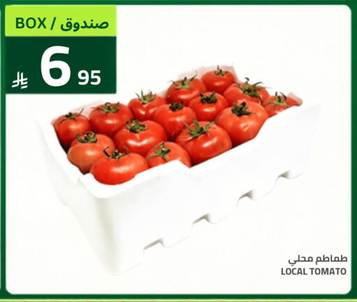 Tomato available at Astra Markets in KSA, Saudi Arabia, Saudi - Tabuk