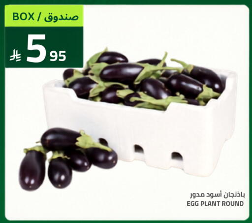 available at Astra Markets in KSA, Saudi Arabia, Saudi - Tabuk