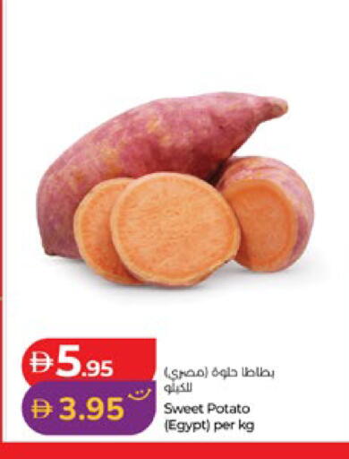 Sweet Potato from Egypt available at لولو هايبرماركت in الإمارات العربية المتحدة , الامارات - أبو ظبي