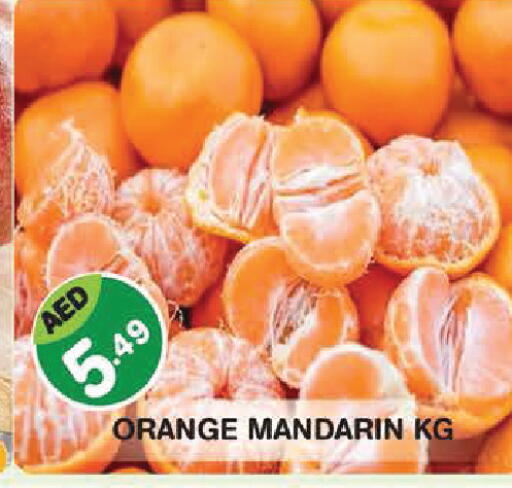 Orange Mandarin available at سنابل بني ياس in الإمارات العربية المتحدة , الامارات - أبو ظبي