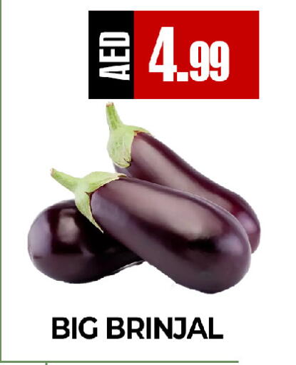 available at  RIVIERA SUPERMARKET L.L.C in UAE - Abu Dhabi