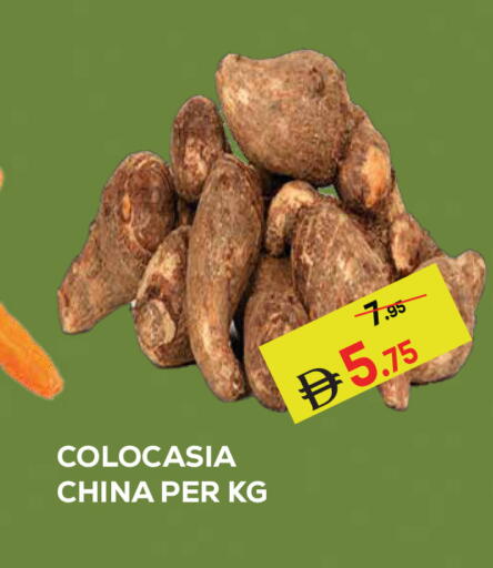 from China available at كيرالا هايبرماركت in الإمارات العربية المتحدة , الامارات - رَأْس ٱلْخَيْمَة