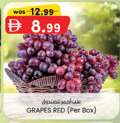 Grapes available at الصفا in الإمارات العربية المتحدة , الامارات - ٱلْعَيْن‎