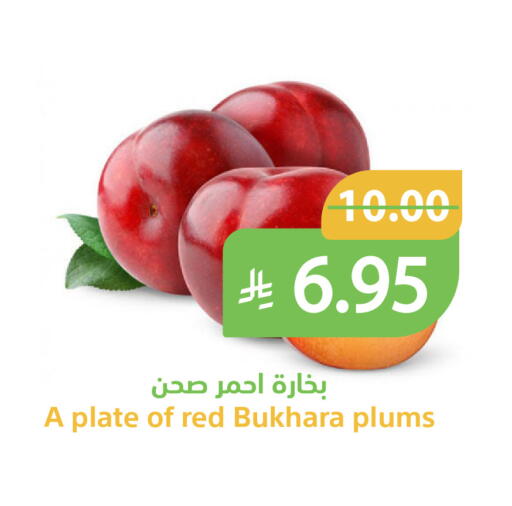 Plums available at Qateba Markets in KSA, Saudi Arabia, Saudi - Buraidah