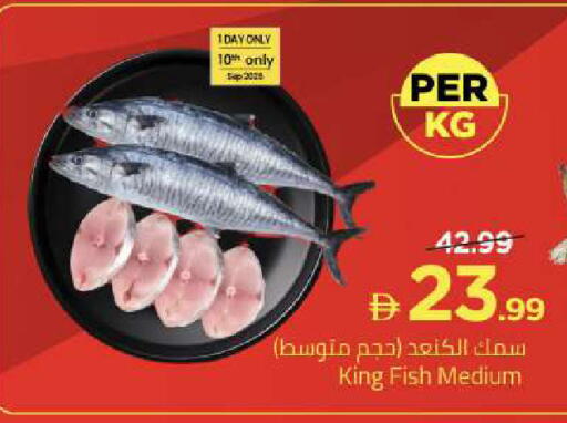 available at مارك & سيف in الإمارات العربية المتحدة , الامارات - أبو ظبي