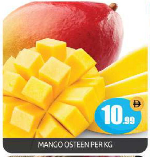 Mango available at بيج مارت in الإمارات العربية المتحدة , الامارات - دبي