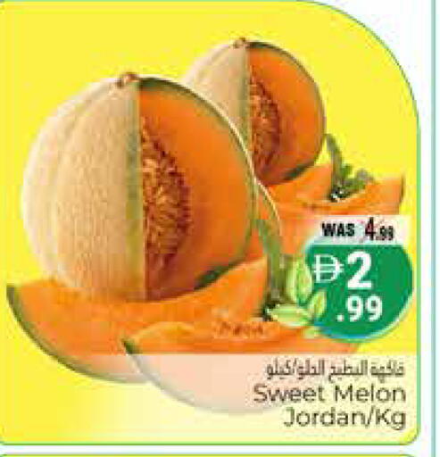 Melon from Jordan available at هايبر ماركت باسونز in الإمارات العربية المتحدة , الامارات - ٱلْعَيْن‎