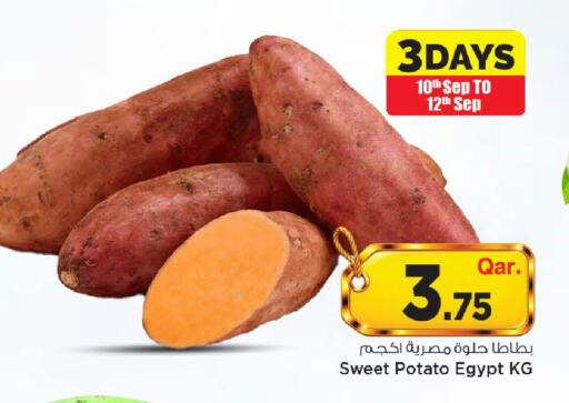 Sweet Potato from Egypt available at مارك & سيف in قطر - الشحانية