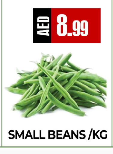 available at  RIVIERA SUPERMARKET L.L.C in UAE - Abu Dhabi