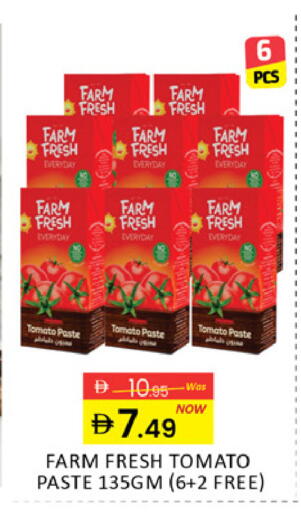 Mango Tomato available at مانجو هايبرماركت in الإمارات العربية المتحدة , الامارات - دبي
