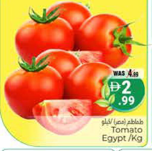 Tomato from Egypt available at هايبر ماركت باسونز in الإمارات العربية المتحدة , الامارات - ٱلْعَيْن‎
