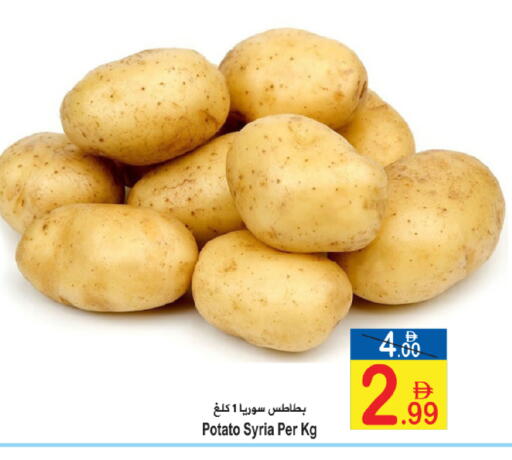 Potato from Syria available at Sun and Sand Hypermarket in UAE - Ras al Khaimah