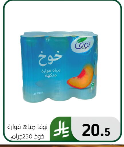 available at Al Hussain Top Up in KSA, Saudi Arabia, Saudi - Dammam